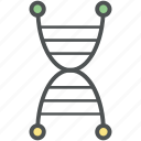 cell, dna, dna helix, dna molecules, dna strand, dna structure, gene, genetic 