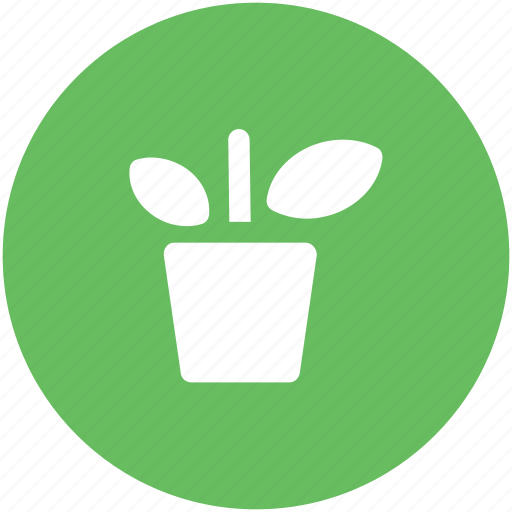Ecology, gardening, leafage, plant, plant pot, sapling icon - Download on Iconfinder
