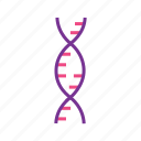 chromosome, dna, genetical science, genetics, genome, learning, science