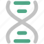 dna, dna helix, dna molecules, dna strand, dna structure, genetic cell 