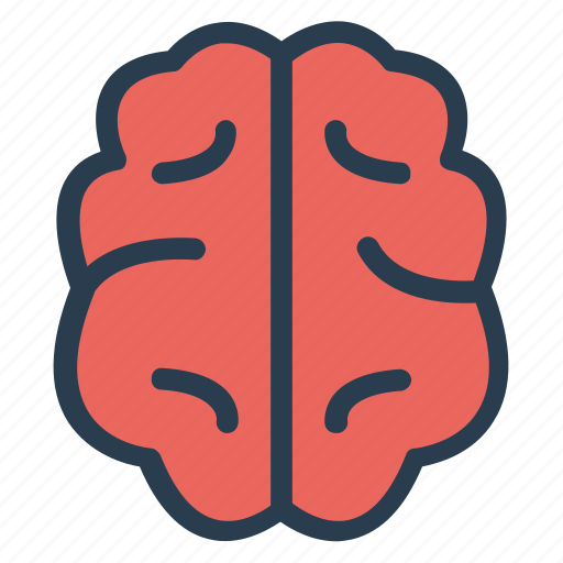 Brain, head, human, idea, mind, neuron, thinking icon - Download on Iconfinder