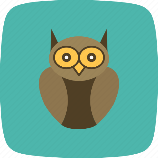 Degree owl, graduation, owl icon - Download on Iconfinder