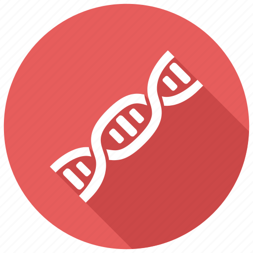 Chromosome, dna, gene icon - Download on Iconfinder