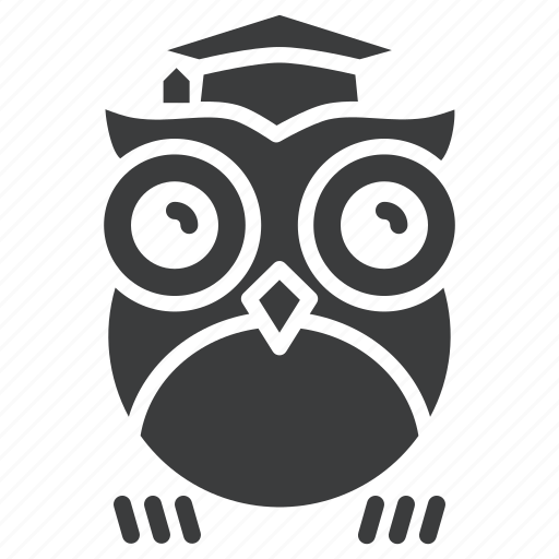 Class, knowledge, learning, owl, school, smart, teacher icon - Download on Iconfinder