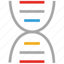 dna, helix, medical, science 