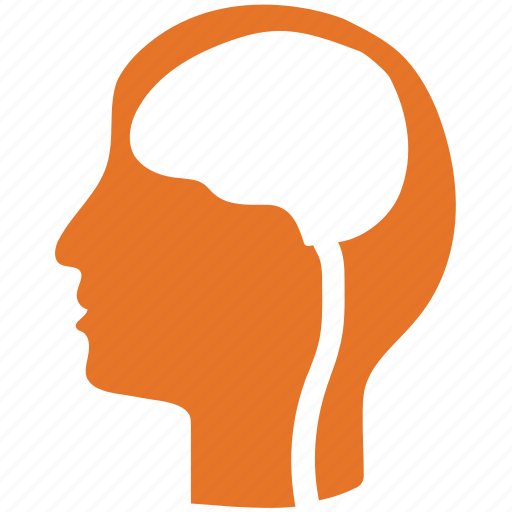 Brain, human brain, mind, head icon - Download on Iconfinder