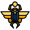 scarab, egyptian, insect, cultures