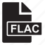 file, flac 