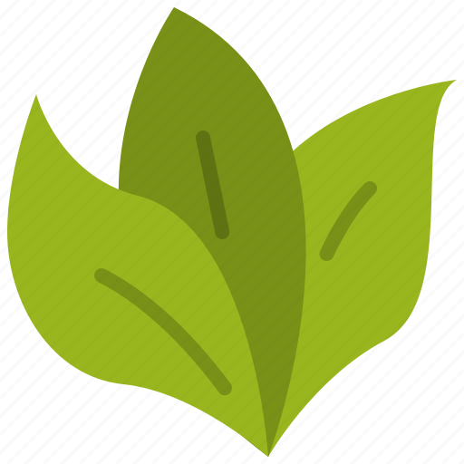 Wood, leaves, plant, nature, element, natural, energy icon - Download on Iconfinder