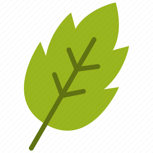 Wood, tree, leaf, nature, element, natural, energy icon - Download on Iconfinder