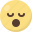 emoji, sleep 
