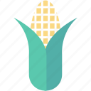 corn, maize, pole corn, sugar corn, sweet corn