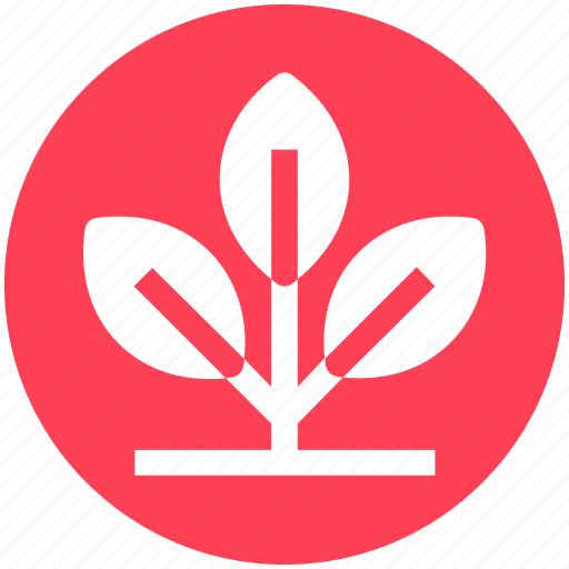 Consumption, growing plant, natural energy, plant, sapling icon - Download on Iconfinder