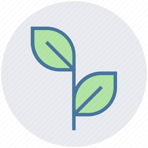 Energy consumption, growing plant, natural energy, plant, sapling icon - Download on Iconfinder