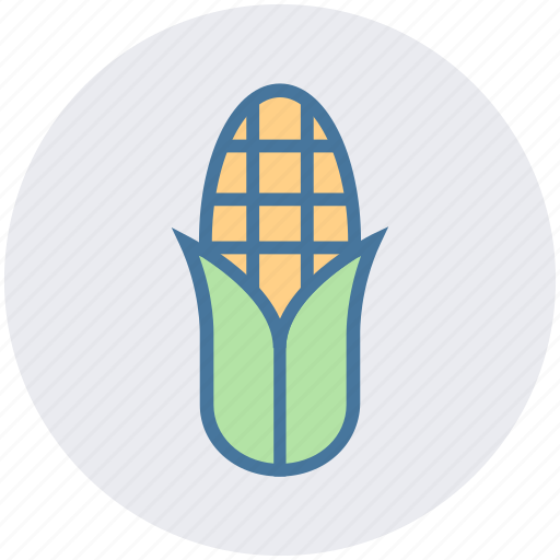 Corn, maize, pole corn, sugar corn, sweet corn icon - Download on Iconfinder
