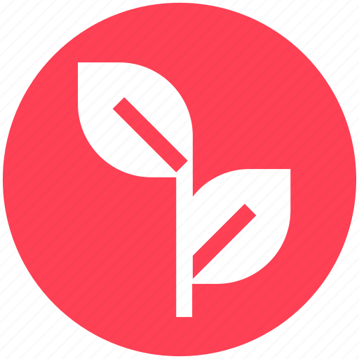 Energy consumption, growing plant, natural energy, plant, sapling icon - Download on Iconfinder