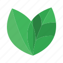 leaf, green, tree, nature, ecology, natural, garden, fresh, organic
