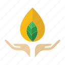 save, leaf, organic, plant, green, natural, environment, growth, ecology