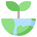 green, growth, leaf, nature, plant