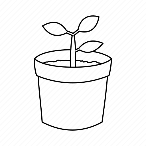 Ecology, plant, sapling, sprout icon - Download on Iconfinder