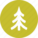 evergreen, forest, fur, nature, tree
