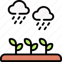 agriculture, farming, gardening, rain, weather, plant