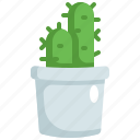 cactus, plant, nature, pot, tree