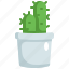 cactus, plant, nature, pot, tree 