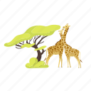 giraffe, animal, couple, savannah, tree 