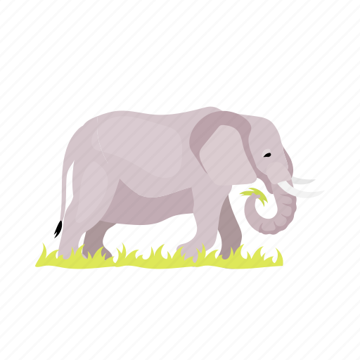Elephant, eat, grass, baby, african animal illustration - Download on Iconfinder