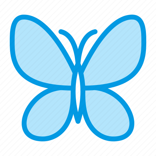 Butterfly, light, silk icon - Download on Iconfinder