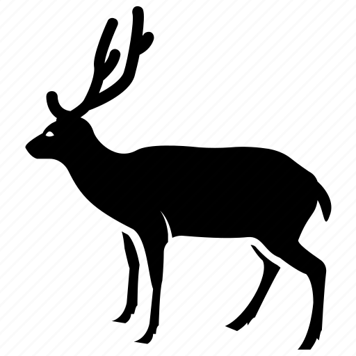 Deer, fairytale animal, glenfiddich, reindeer, stag icon - Download on Iconfinder