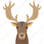 deer, stag, antler, wildlife, fauna 