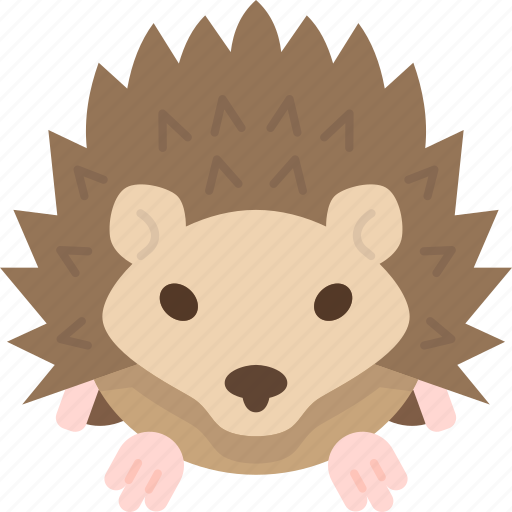 Hedgehog, spines, rodent, wildlife, animal icon - Download on Iconfinder