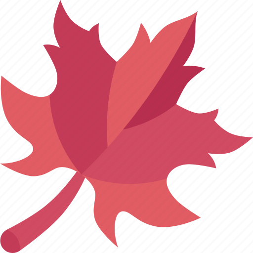 Leaves, fall, foliage, autumn, seasonal icon - Download on Iconfinder