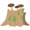 stump, tree, logging, forest, wood