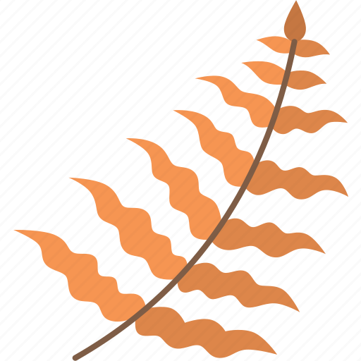 Fern, leaf, foliage, plant, forest icon - Download on Iconfinder