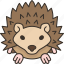 hedgehog, spines, rodent, wildlife, animal 