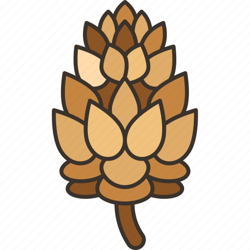 Pine, cones, coniferous, plant, forest icon - Download on Iconfinder