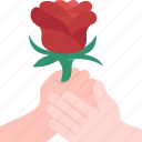 romantic, rose, flower, valentine, love