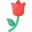 rose, romantic, flower, gift, floral, love, plant 