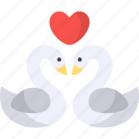swans, couple, love, animal, romantic, heart, loving