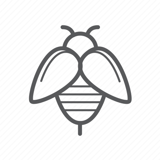Bee, bumblebee, insect icon - Download on Iconfinder