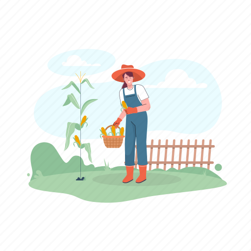 Farm, corn, plant, agriculture illustration - Download on Iconfinder