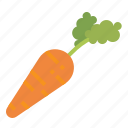 carrot, farming, healthy, organic, vegan, vegetable, vegetables