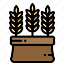 branch, cereal, food, grain, rice, supermarket, wheat