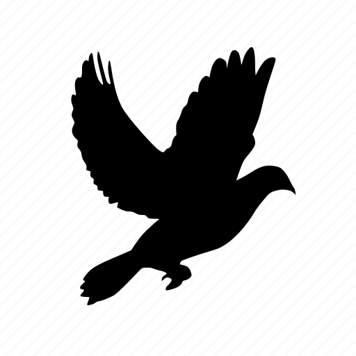 Animal, bird, dove, pigeon icon - Download on Iconfinder