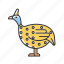 guinea fowl, domesticated bird, poultry farming, helmeted guineafowl 