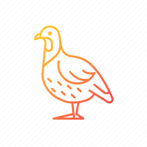 Partridge, domestic fowl, poultry raising, livestock husbandry icon - Download on Iconfinder