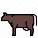 animal, cow, dairy, mammal